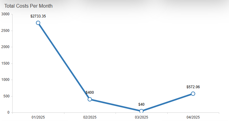 Total costs per month line graph